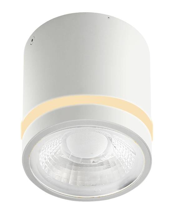 Lampa sufitowa spot VICI IP44 12W CCT SWITCH Biały (AZ6040) - Azzardo